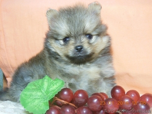 Лучший подарок -лучшие друзья на долгие годы. #1364367