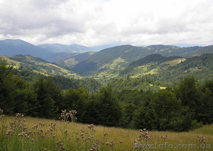 Продам участок в Карпатах - Яблуница,  10 соток  #1361618