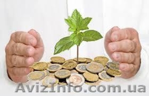 Здати звіт,  підготовка,  складання звітів #1355824