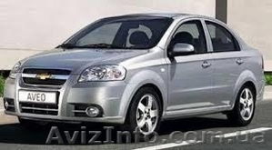 Обучаю вождению. #1358045