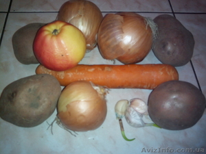 картофель. буряк. морква. капуста. цибуля #1361730