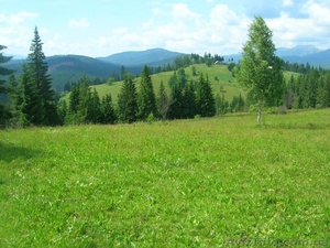 Продам участок в Карпатах - Яблуница,  110 соток #1361621