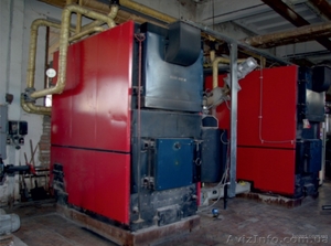 Kalvis котлы.гарантия #1359986