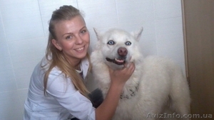 Ветеринар на дом в Харькове #1363205