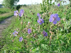 Продам дачные участки. #925991