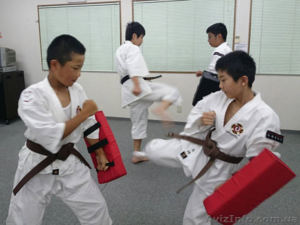 Японская система самообороны Сёриндзи Кэмпо  #1363802