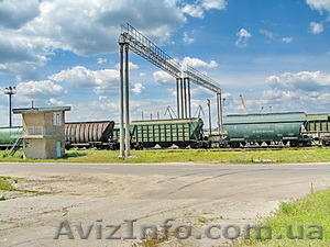 Аренда-Продажа.Территория для зерновой компании р-н порта Октябрьский,  Нико-тера #1365263