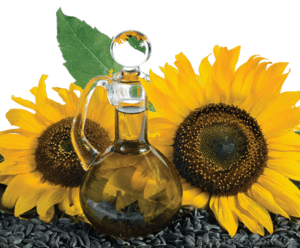 На експорт соняшникова олія #1371982