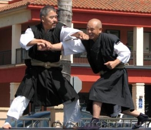 Тренировка. Карате. #1372095