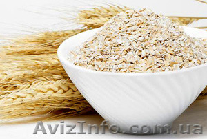 Вівсяні пластівці від виробника #1377209