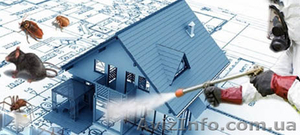 Комплексное уничтожение насекомых. #584959