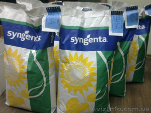 Семена подсолнечника Syngenta (Сингента) Санлука РМ. Оригинал 100% #1369786