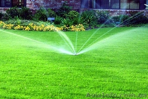 Качественный газон. Посев,  укладка рулонного газона #1377474