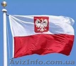 Срочная интернет регистрация #1369073