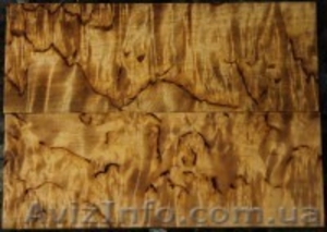 Кап,  сувель,  бруски,  корень,  торцевой срез  с красивешей текстурой. #1371751