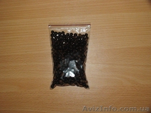 Ягоды можжевельника #1372038