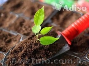 Субстрат торфяной 