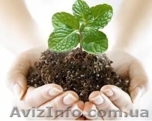 Удобрение минеральное ГУМАТ КАЛИЯ AGRO в ассортименте #1376091