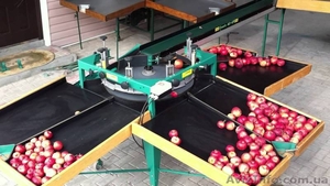 Изготавливаем под заказ перерабатывающие линии (орех,  ягоды,  овощи,  фрукты)  #1376198