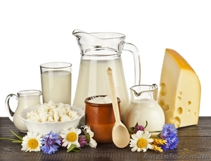 Продам коровье молоко и молочные продукты оптом  #1378224