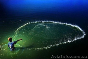 Продам сеть кастинговую #1371068