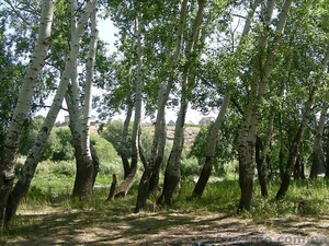 Отдых,  пеший поход туристический в Украине #1374973