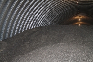 Куплю подсолнечник,  пшеницу 2-6кл,   кукурузу #1373158