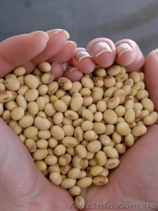 семена сои Алмаз #1372335