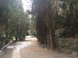 Продается земельный участок 6 соток в Ялте (Мисхор) #1380617