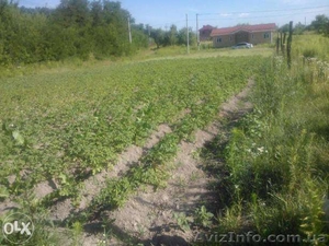 Участок в селе Новое 10 сот. #1386214