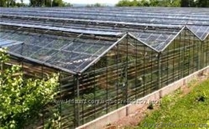 Остекление теплиц #1383437