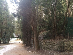 Продается участок в Мисхоре (Ялта) 6 сот #1380621