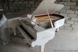 белый рояль             #1382694