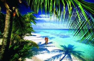 Туры на Сейшелы из Киева #1399180