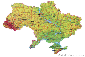  Услуги диспетчера владельцам автотранспорта и спецтехники. Киев #1395428