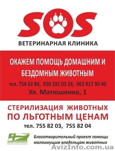 Ветеринарная клиника