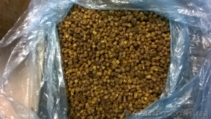 Перга оптом от 1 кг #1388930