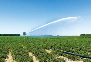 Монтаж трубопроводов для полива  #1417873