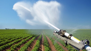 Прокладка трубопровода для полива  #1405236