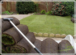 Устройство газона,  рулонный газон #1405306