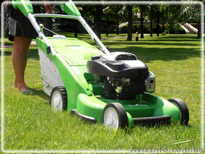 Стрижка газона;  покос травы,  тримерная стрижка #1406059