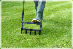 Аэрация газона;  вертикуляция #1406064