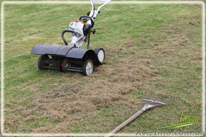 Вычесывание газона,  уход за газоном #1406066