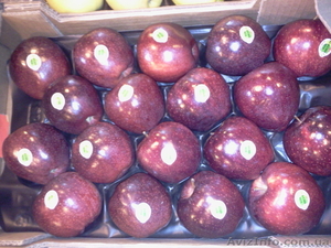 Продаем яблоки из Испании #1406263