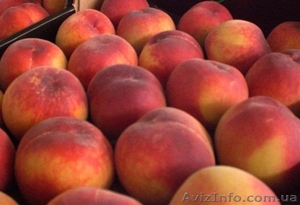Персики из Испании #1423062