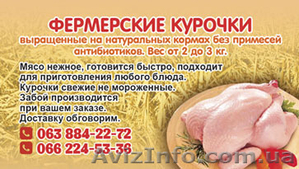 Фермерский бройлер! Высший сорт и качество #1407678