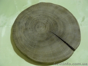 Панно из дуба,  брусчатка из дерева дуба,  дуб 