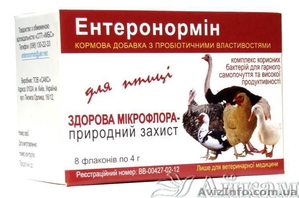 Энтеронормин - уникальный пробиотик! #1407432