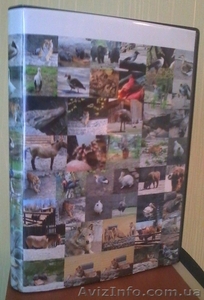 Эксклюзивный фильм 