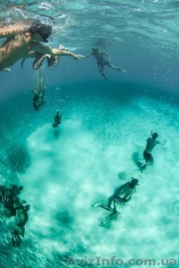 Організація активного відпочинку. Дайвінг. #1403542
